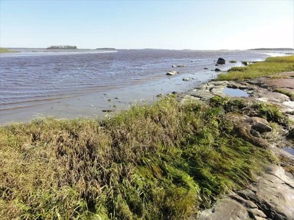 Беломорский район озеро белое. База отдыха кемь беломорск. Кемь беломорск. Кемь беломорск. Беломорск и кемь.