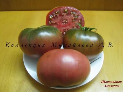 Томат каштановый шоколад