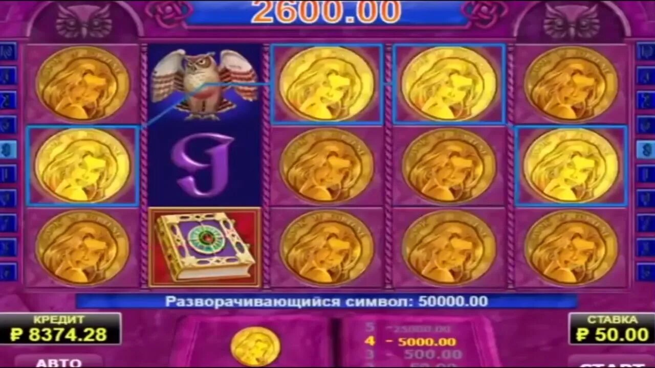 Book of fortune. Слот book of fortune бонус. Book of fortune. Игровой автомат fortune coin. Fortune 2022.
