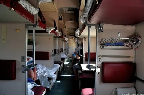 Фото плацкарта в поезде ржд 2024