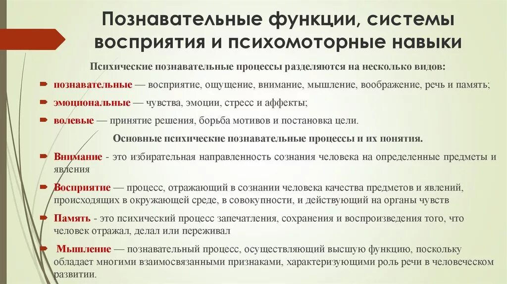 Познавательные функции деятельности водителя. Познавательные функции системы восприятия. Функции познавательных процессов. Познавательные функции системы восприятия и психомоторные навыки. Функции восприятия и внимания