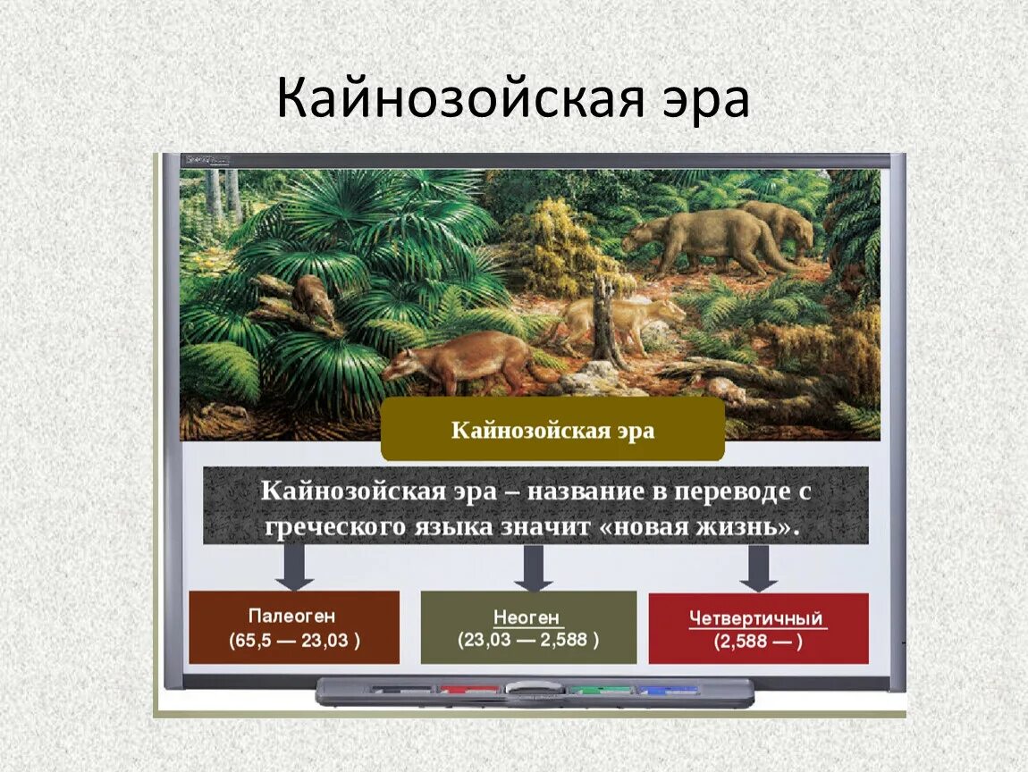 Периоды кайнозоя таблица палоген. Палеоген Эра растения. Палеоген Эра кратко. Кайнозойская Эра палеоген растения.