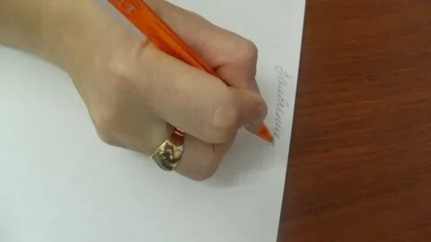 Ложный донос образец