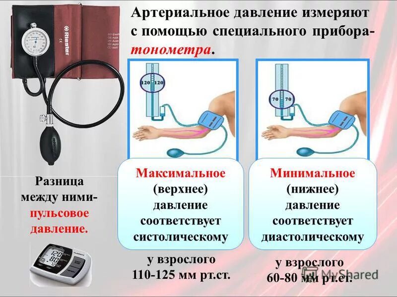 Давление вд. Измерение артериального давления. Измерения давления человека. Измерение кровяного давления. Измерение артериального давления у человека.