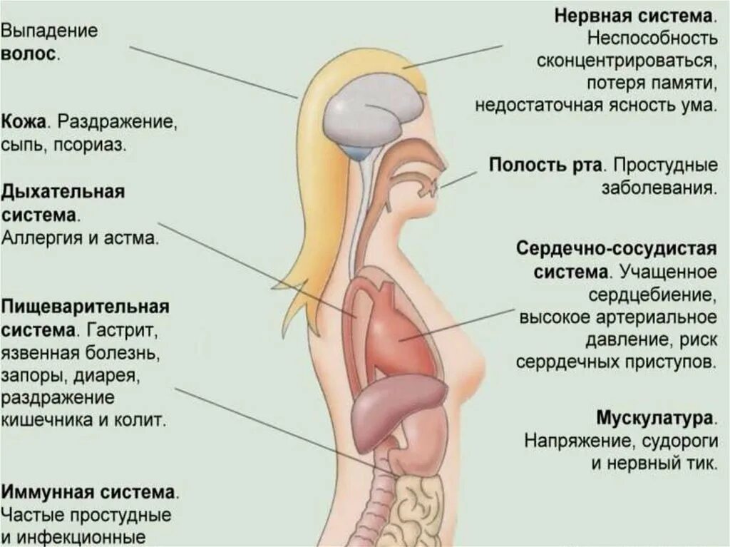 Влияние стресса на здоровье человека кратко. Стресс и его влияние на человека. Влияние стресса на человека. Влияние стресса на организм презентация. Воздействие стресса на организм человека презентация.