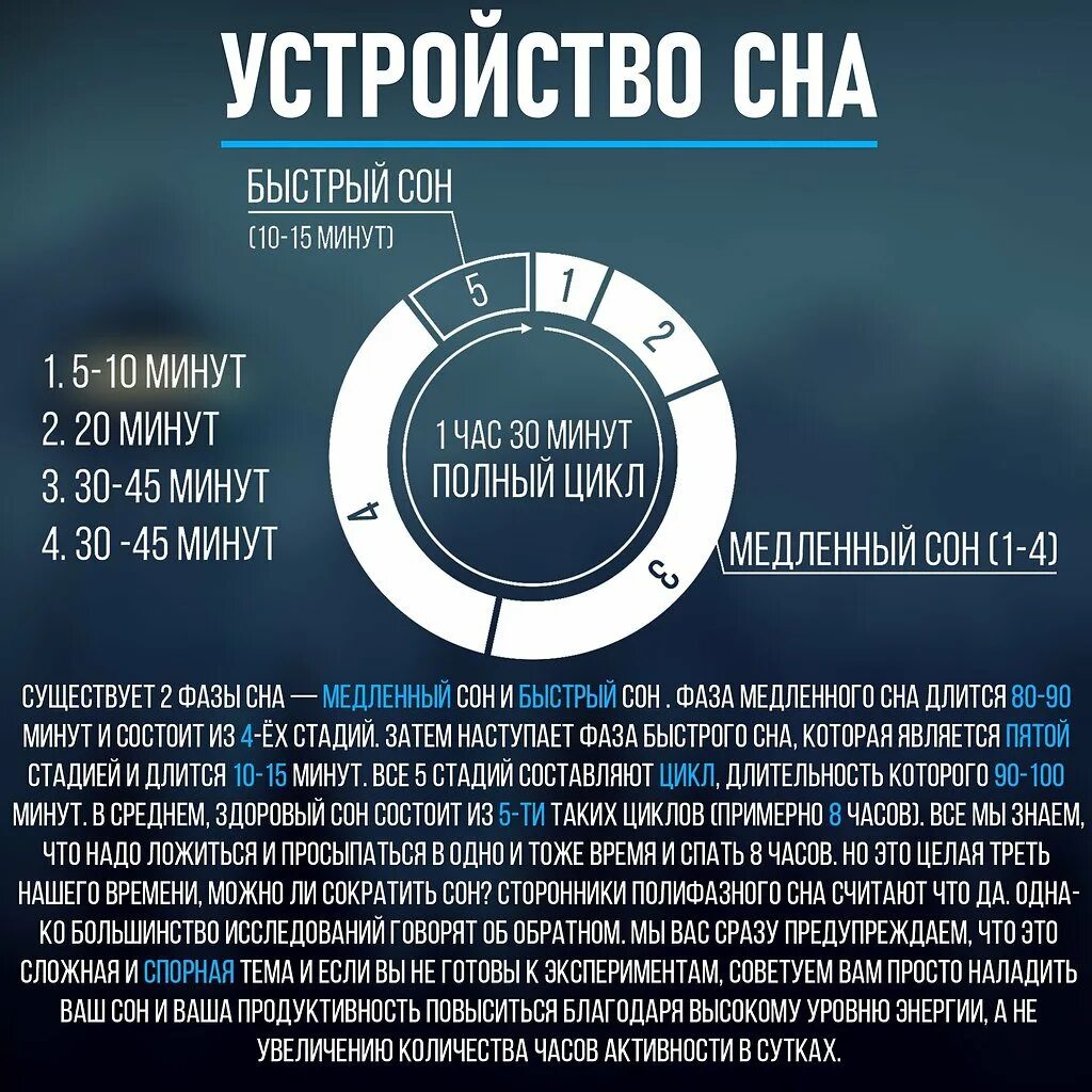 Спи через 2 часа. Полифазный сон. Система сна. Схемы полифазного сна. Фазы сна инфографика.