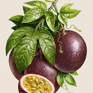 Манга маракуйя