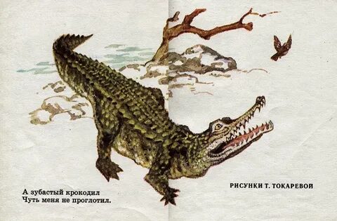 Чуть не съел