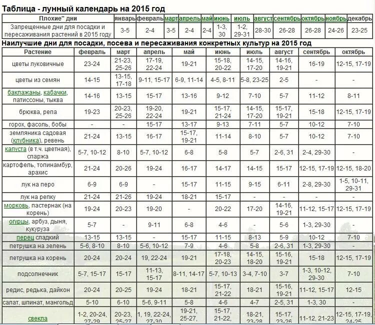 Когда по лунному календарю можно сажать лук