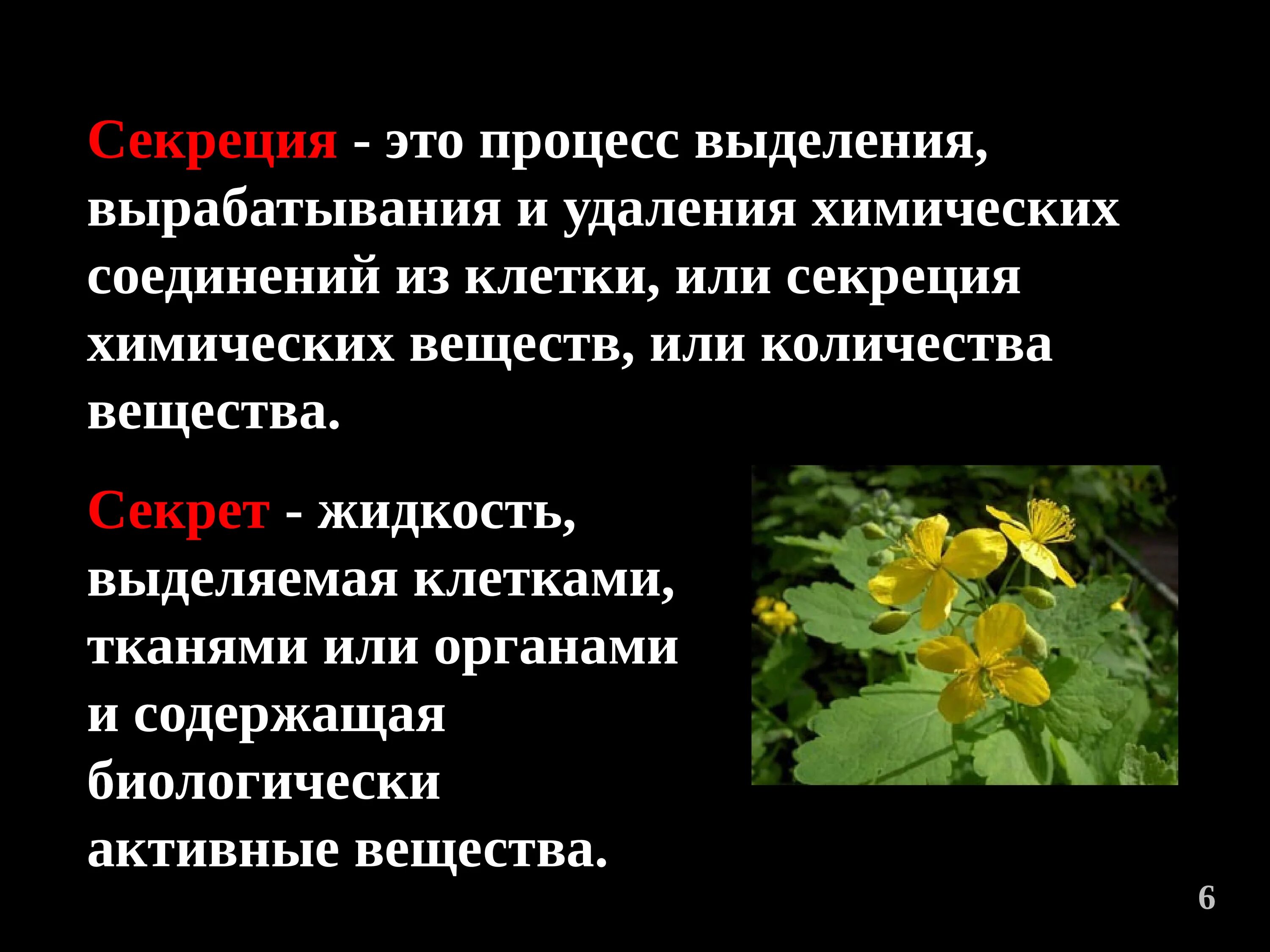 Секрет в биологии. Секреция это процесс выделения. Секрет это в биологии. Секреты в биологии примеры. Выделение у растений презентация.