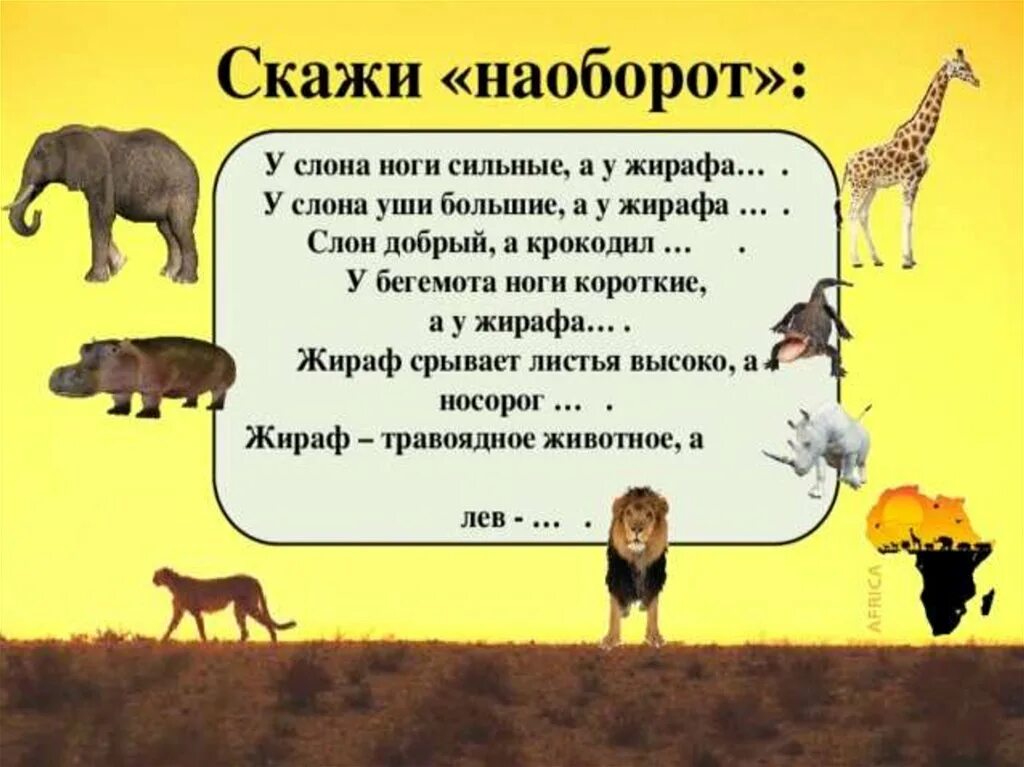 Как засунуть слона в холодильник. Животные жарких стран. Загадки про животных Африки. Животные жарких стран загадки. Загадки про животных Африки для детей.