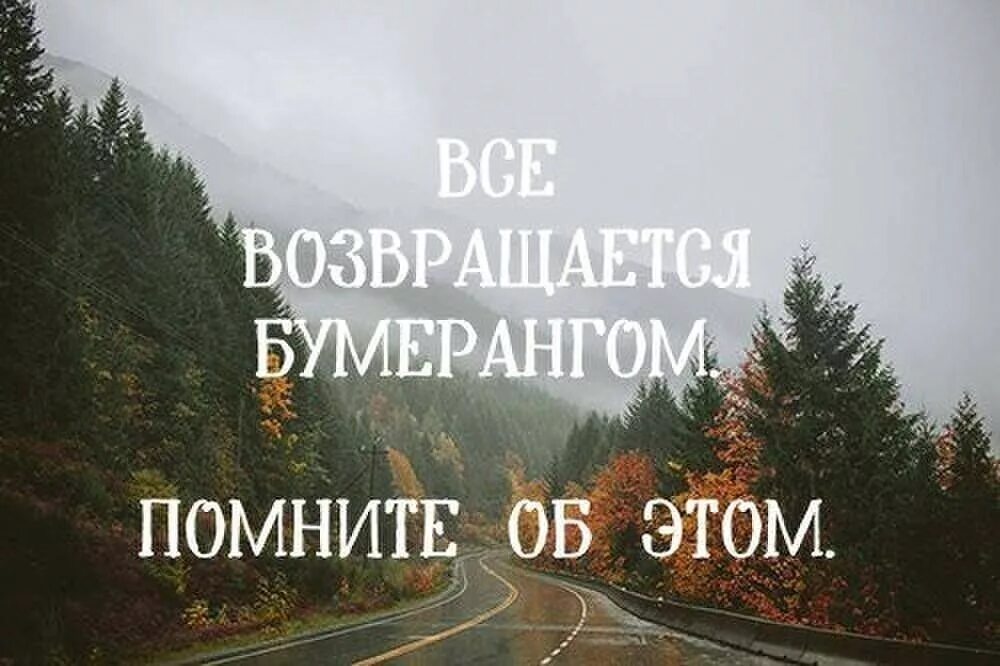 Все возвращается бумерангом цитаты. Жизнь бумеранг. бумеранг цитаты. афоризмы про бумеранг в жизни. жизнь бумеранг цитаты.