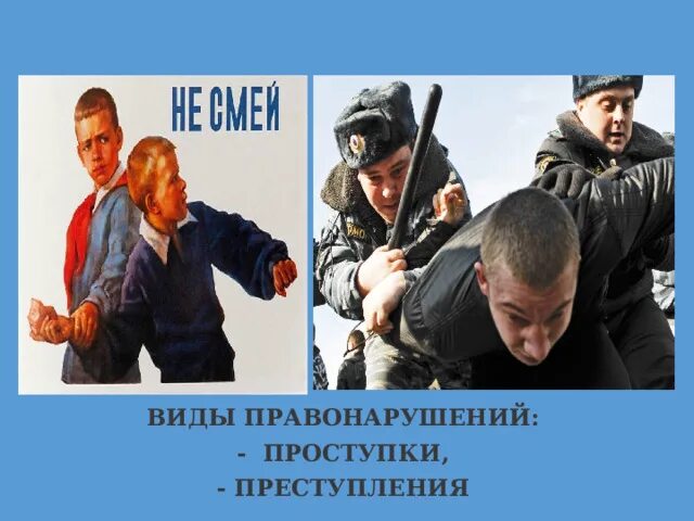 Проблемы преступности в современном обществе. Проблемы преступности в современном обществе