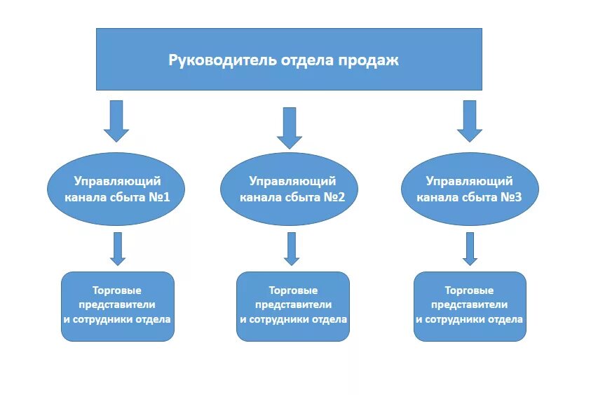 Отделу сбыта и маркетинга. Структура работы отдела продаж схема работы. Структура работы руководителя отдела продаж. Структура сетевого отдела продаж. Структура отдела сбыта.