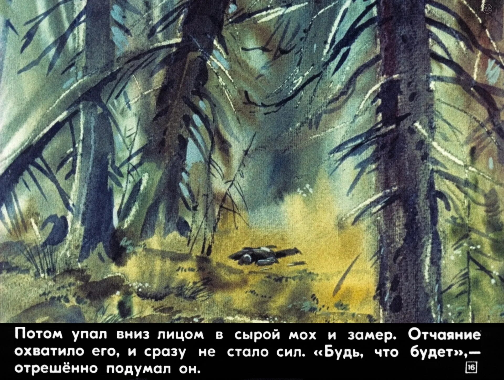 Как выглядит васютка из рассказа васюткино озеро. Астафьев в. &quot;васюткино озеро&quot;. астафьев васюткино озеро иллюстрации. астафьев васюткино озеро иллюстрации к рассказу. глухарь из васюткино озеро.