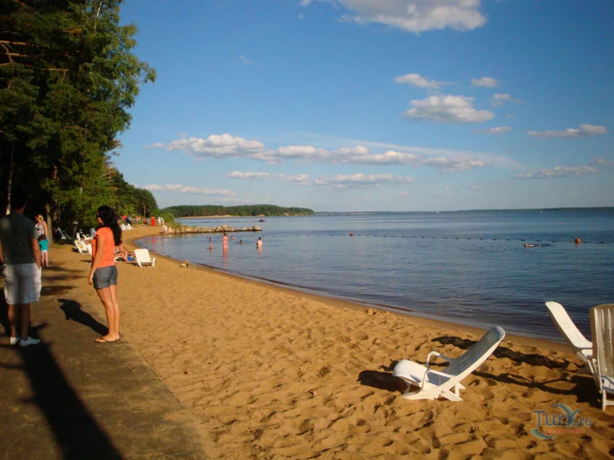 Пляж Коприно Рыбинск. Бухта Коприно пляж. Рыбинское водохранилище бухта Коприно. Коприно пляж Петраково.