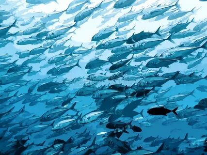 Снится много рыбы в воде женщине