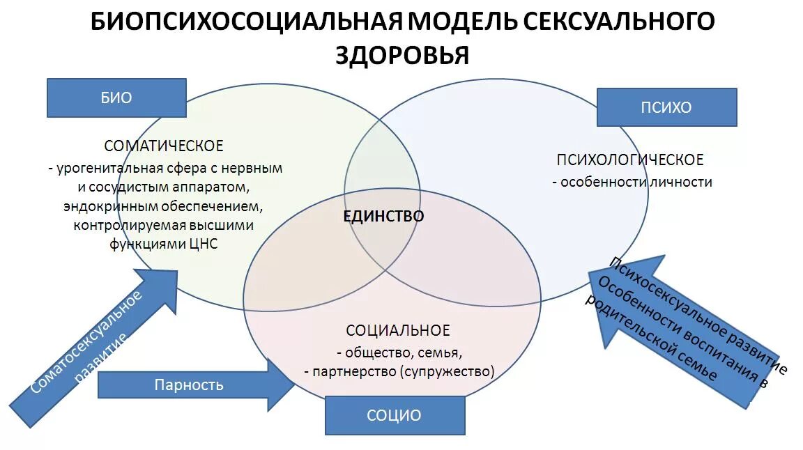 Биопсихосоциальная модель в психологии