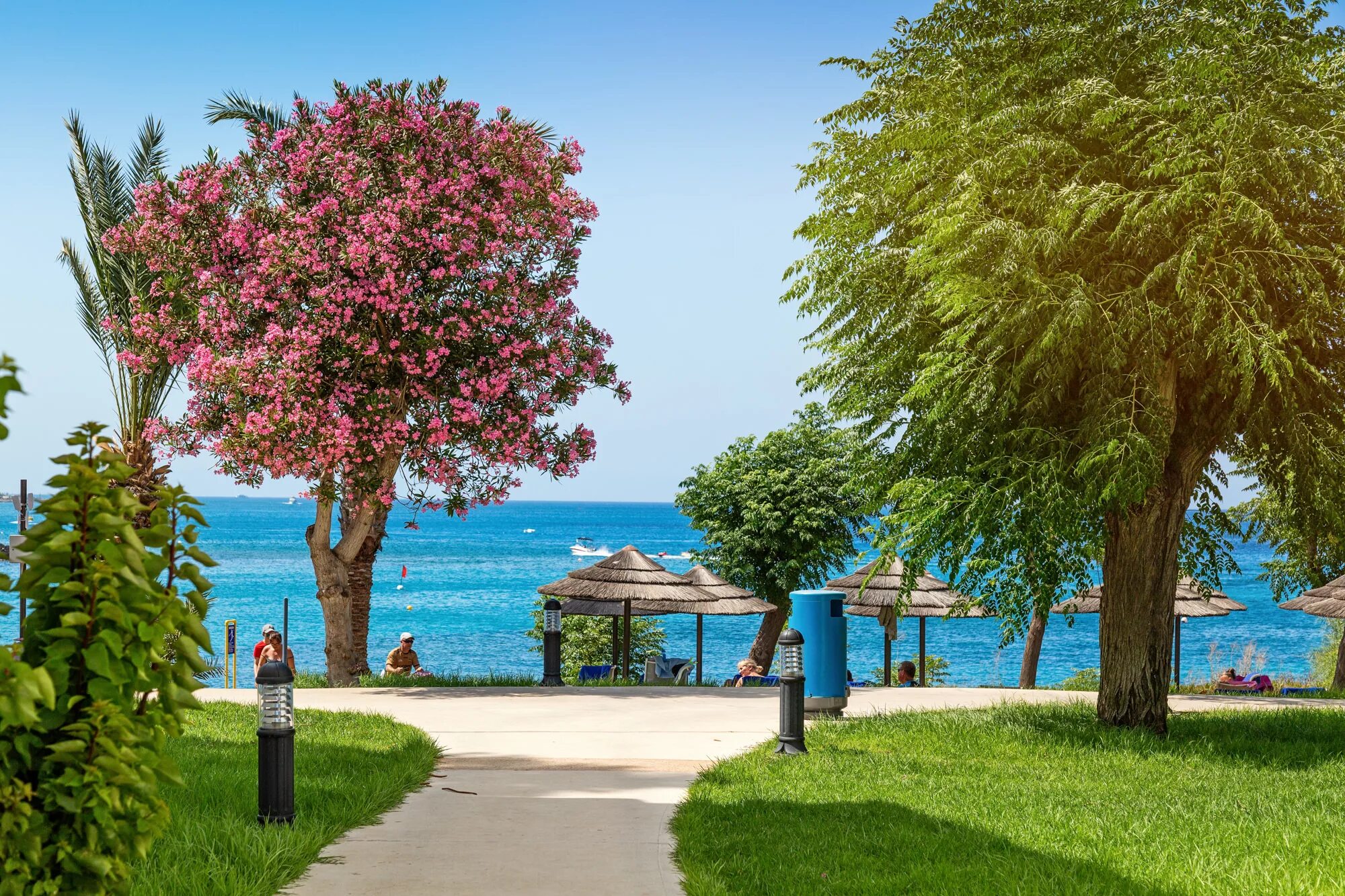 Пляж фигового дерева Кипр. Пляж фигового дерева Протарас. Залив фигового дерева Протарас. Fig Tree Bay Кипр. Пляж фигового дерева