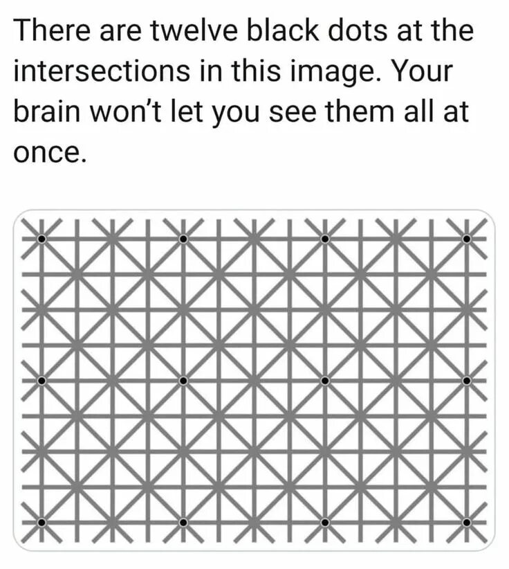 Двенадцать точек. 6 точек в 3 ряда. Оптическая иллюзия 12 точек. Иллюзия исчезновения ниньо. Сколько точек.