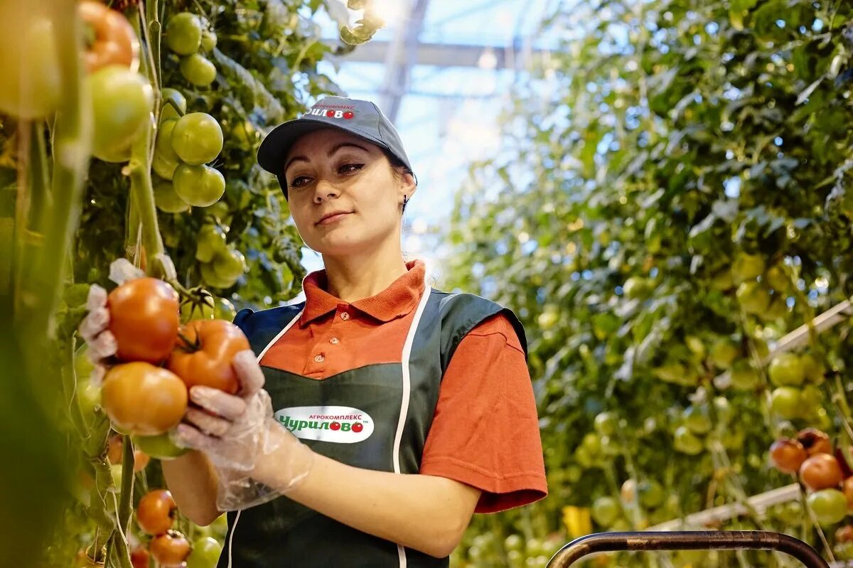 Каракотов щелково агрохим. Агроном специальность. Девушка эколог. Совхоз агроном краснодарский край. Вакансии агронома в московской.