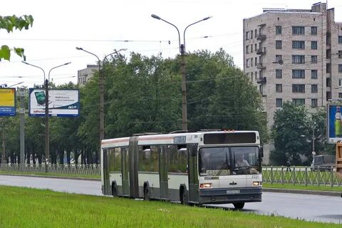 Автобусная улица спб