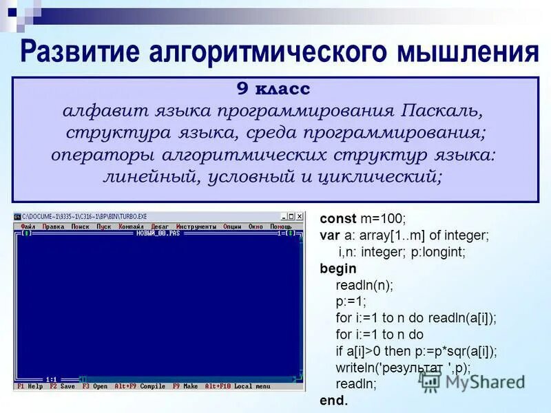 Какие есть среды программирования. Какие есть среды программирования