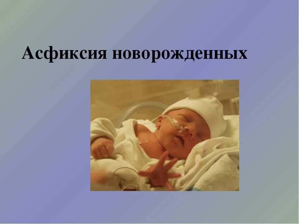После асфиксии. Осложнения асфиксии плода. Принципы лечения асфиксии новорожденных. Осложнения аспирационной асфиксии. После асфиксии.