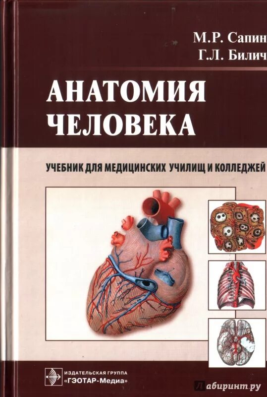 Анатомия человека пособия. Сапин Билич анатомия человека. Анатомия человека 2 том Сапин Билич. Анатомия человека Сапин Билич 2009. Билич Габриэль Лазаревич.