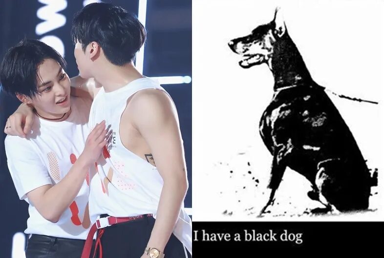 Black dog перевод на русский. ДЖОНХЕН собака. ДЖОНХЕН тату собака. Тату SHINEE Jonghyun собака. Тату Джонхена черная собака.