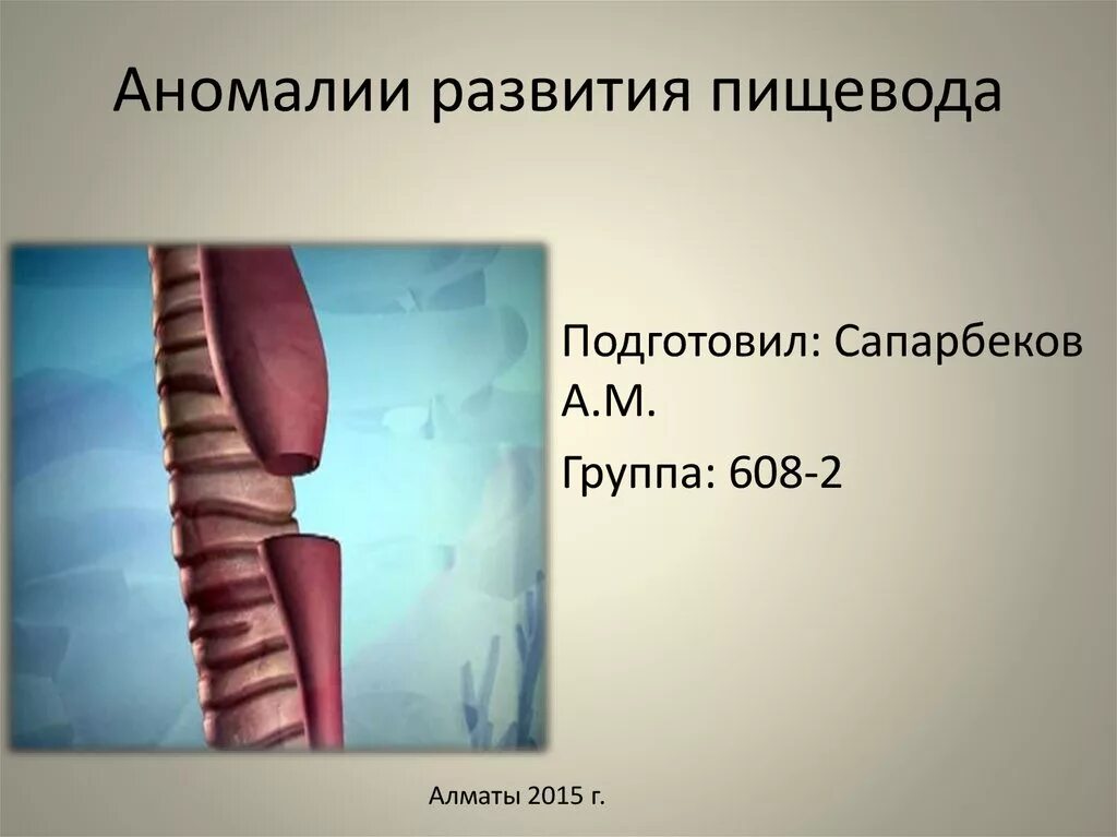 Развитие пищевода