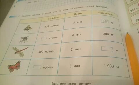Заполни таблицу домашние животные
