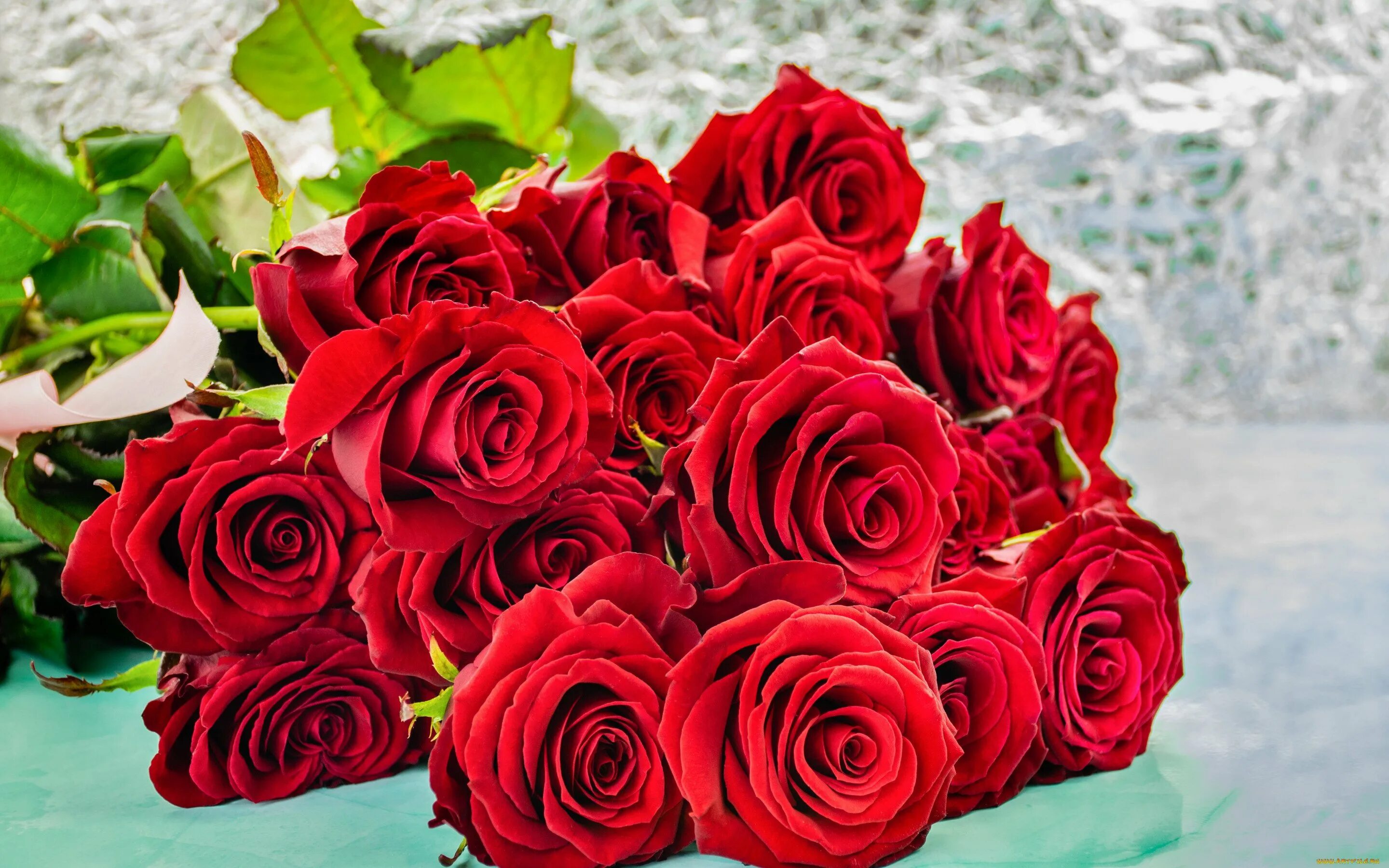 Цветы розы красные. Красные розы. Букет роз. Шикарные красные розы. Шикарный букет алых роз.