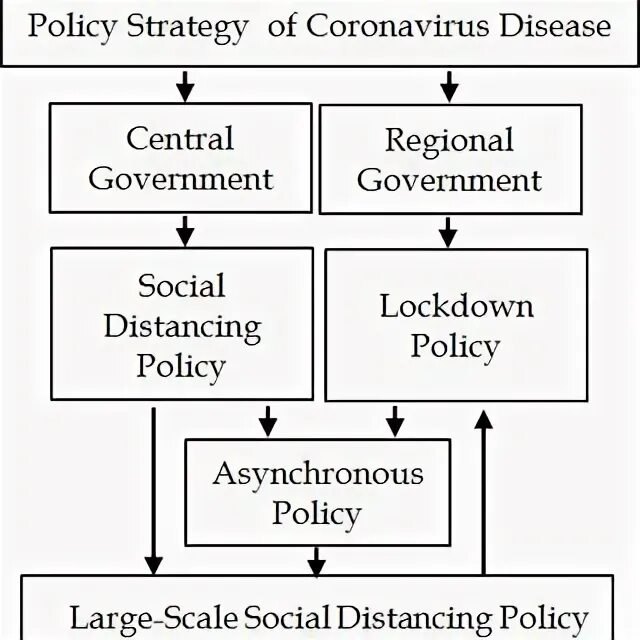 Action plan. Porter analysis. Policy cycle. Sms review. Political strategy.