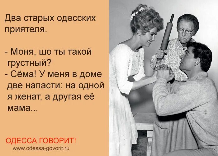 Тиха ша. Тихо ша одесса. Тиха ша. Тихо ша одесса картинки. Тихо ша одесса.