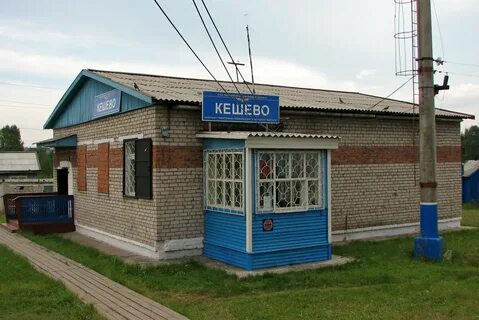 Сосновка чунского