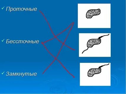 Выберите из предложенных вариантов бессточные озера