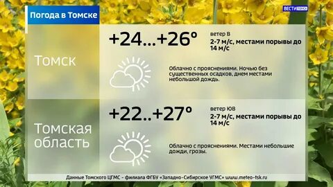 Погода в томске на ноябрь 2024