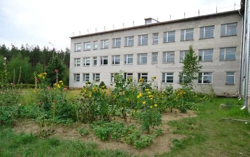 Першино школа. Першино школа. Першино школа. Першино школа. Першино школа.