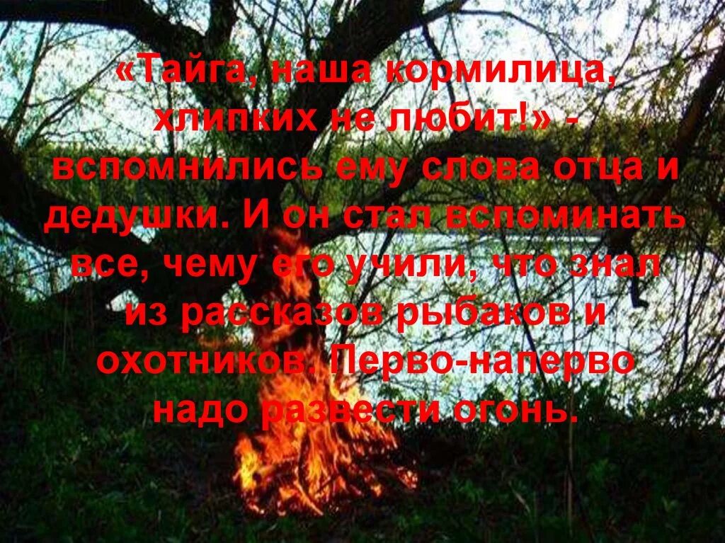 Сочинение тайга наша кормилица. Васюткино озеро тайга наша кормилица. тайга наша кормилица. васюткино озеро тайга хлипких не любит. тайга наша кормилица хлипких не любит сообщение.