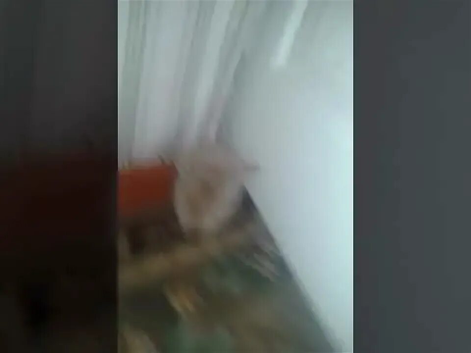 Песня папапапапапапа. Песня папапапапапапа