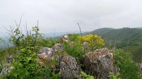 Барабаш приморский край