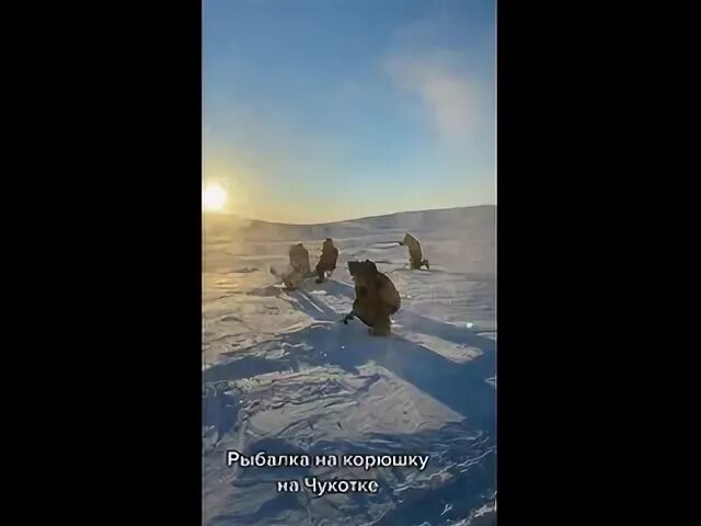 Ловили точно