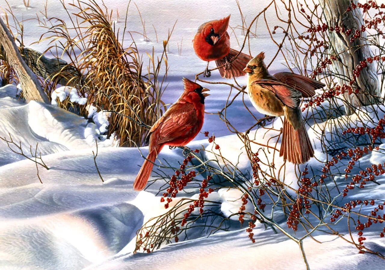 Этих двух птиц не встретишь в природе. Rosemary Millette картины. Зимний пейзаж с птицами. Птицы живопись. Птицы зимой живопись.