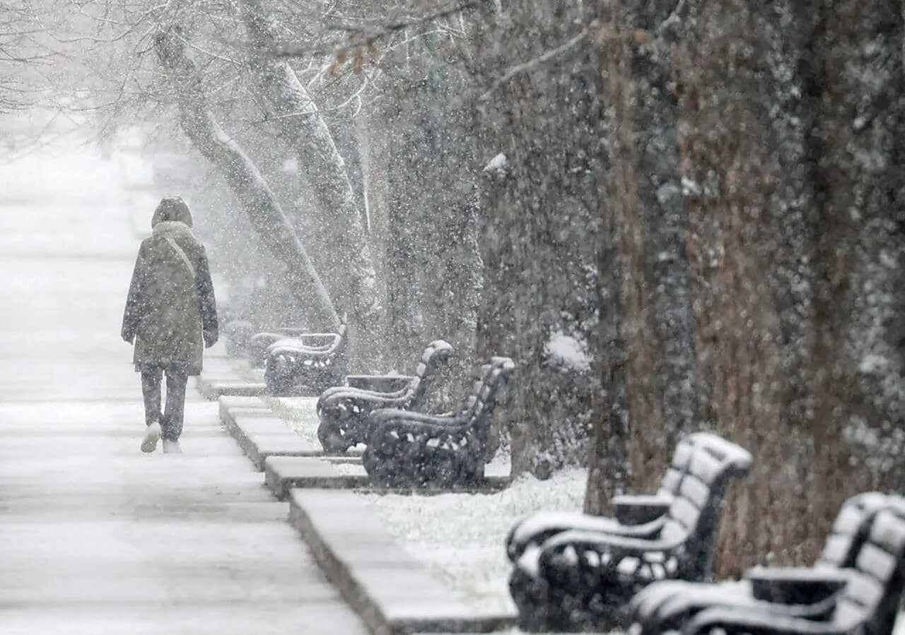 Snowfall на русском. Утренний снег. Мокрый снег. Снег в России. Мокрый снег гололедица.