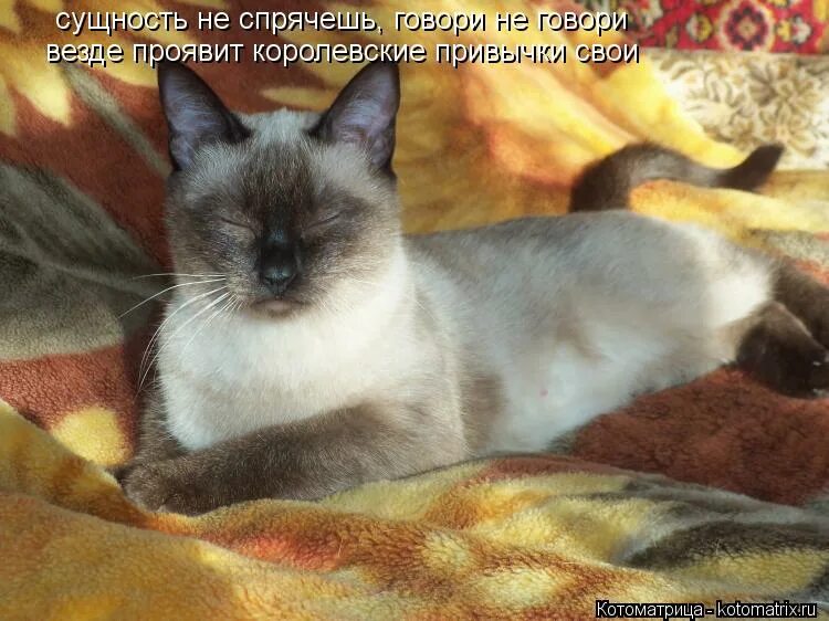 Их не спрячешь