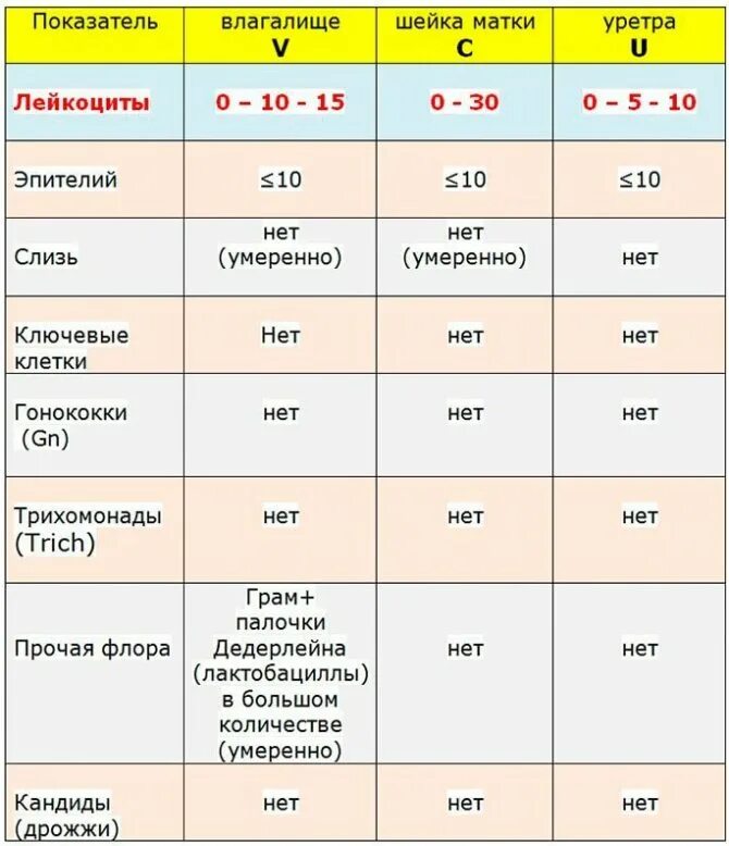 Эпителий какая норма. Лейкоциты в мазке у женщин норма. Гинекологический мазок лейкоциты норма. Лейкоциты уретра норма у женщин в мазке. Мазок на флору у женщин расшифровка результатов.