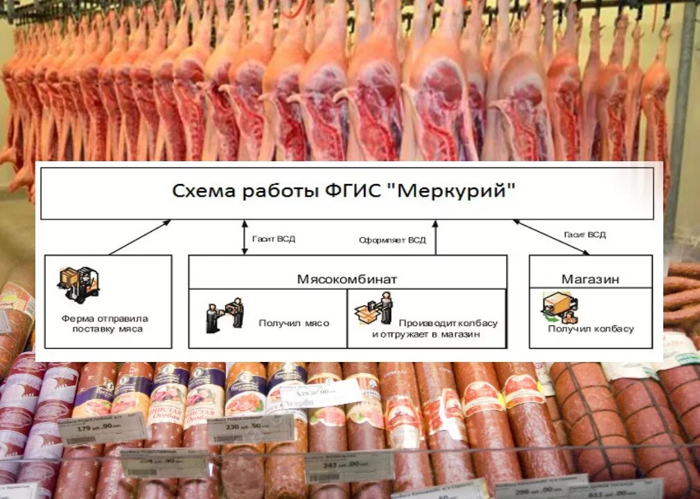 Пищевые добавки в колбасных изделиях. Из чего состоит колбаса. Можно вернуть колбасу в магазин. Факторы формирующие потребительские свойства колбасы. Верните колбасу.