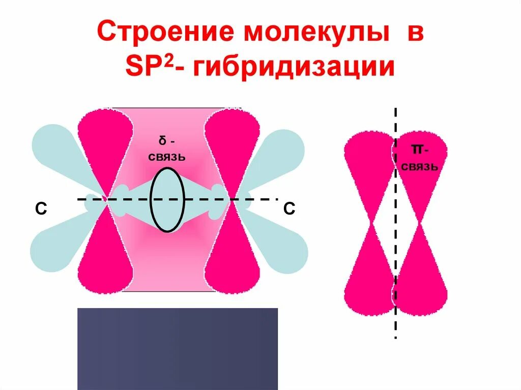 Sp2 гибридизация связи. SP^2-SP 2 − гибридизации?. Sp2- гибридизация в молекуле. Атомы углерода в сп2 гибридизации. Sp2 гибридизация строение.