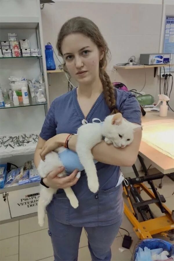 Практика в ветеринарной клинике. 4 лапы ветеринарная клиника. Клиника 4 лапы. Клиника 4 лапы. Ветеринарная клиника „доктор vet барнаул.